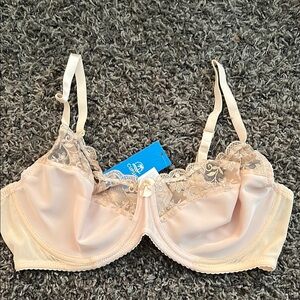 Elegant Cream Lace Bra